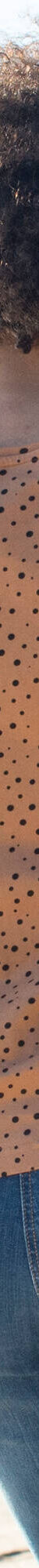 T-shirt imprimé pois en coton biologique(**) (noisette) T-shirt imprimé pois en coton biologique(**) (noisette)